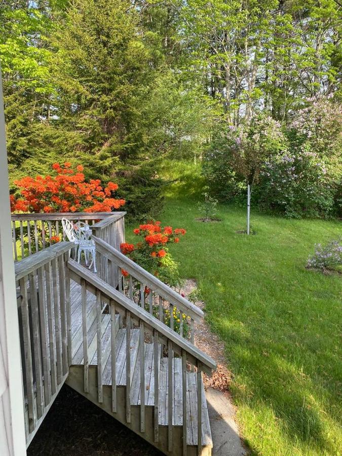 Sea La Vie Leilighet Mahone Bay Eksteriør bilde