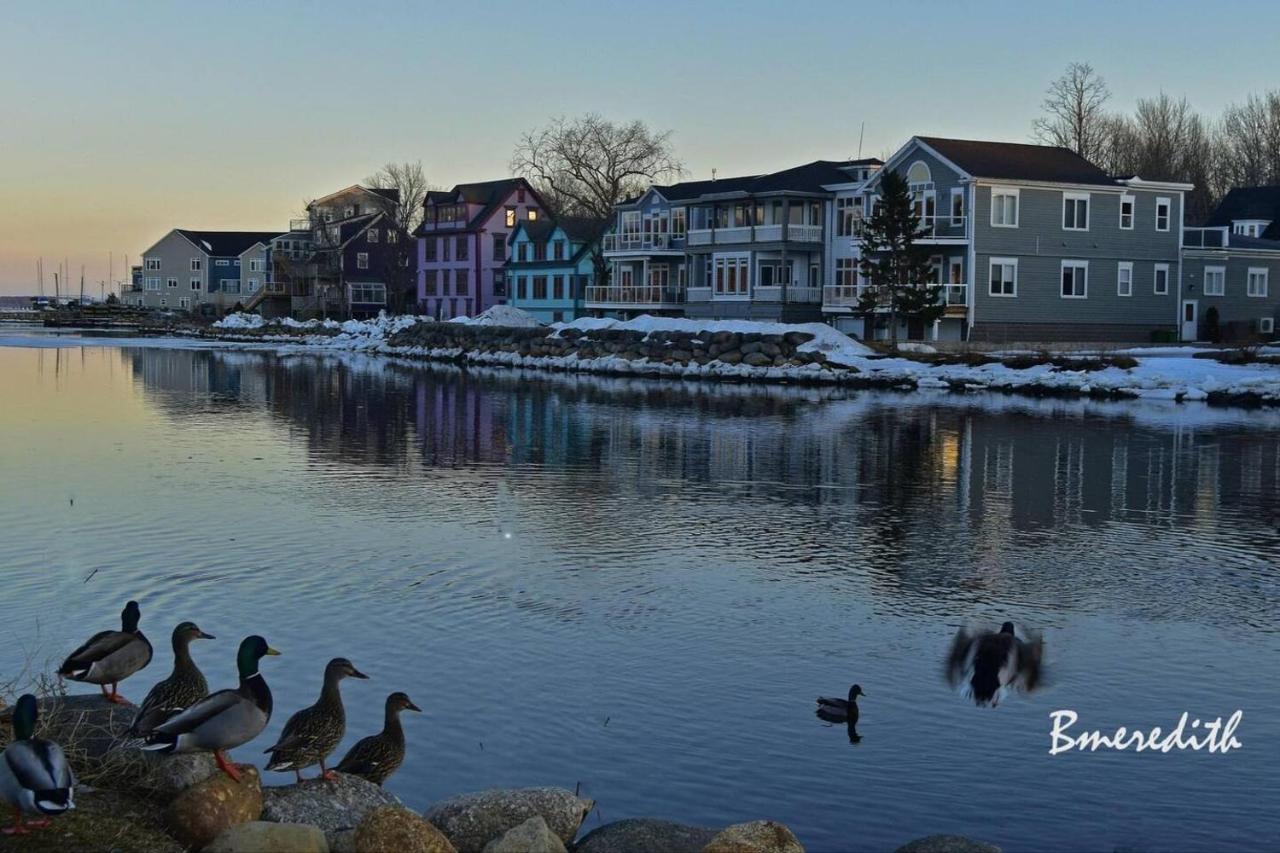 Sea La Vie Leilighet Mahone Bay Eksteriør bilde