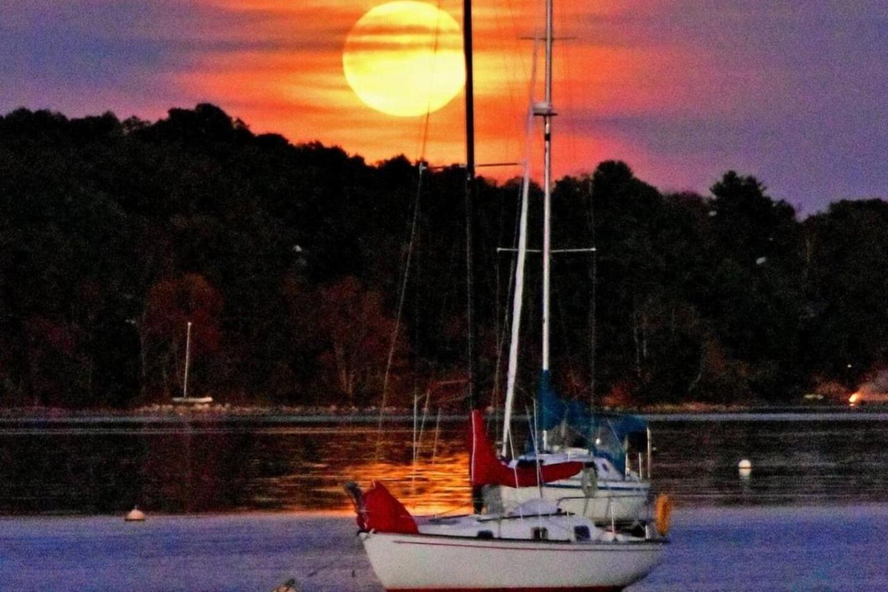 Sea La Vie Leilighet Mahone Bay Eksteriør bilde