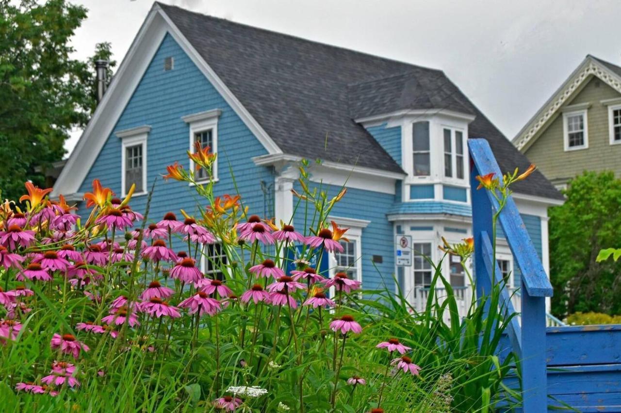 Sea La Vie Leilighet Mahone Bay Eksteriør bilde